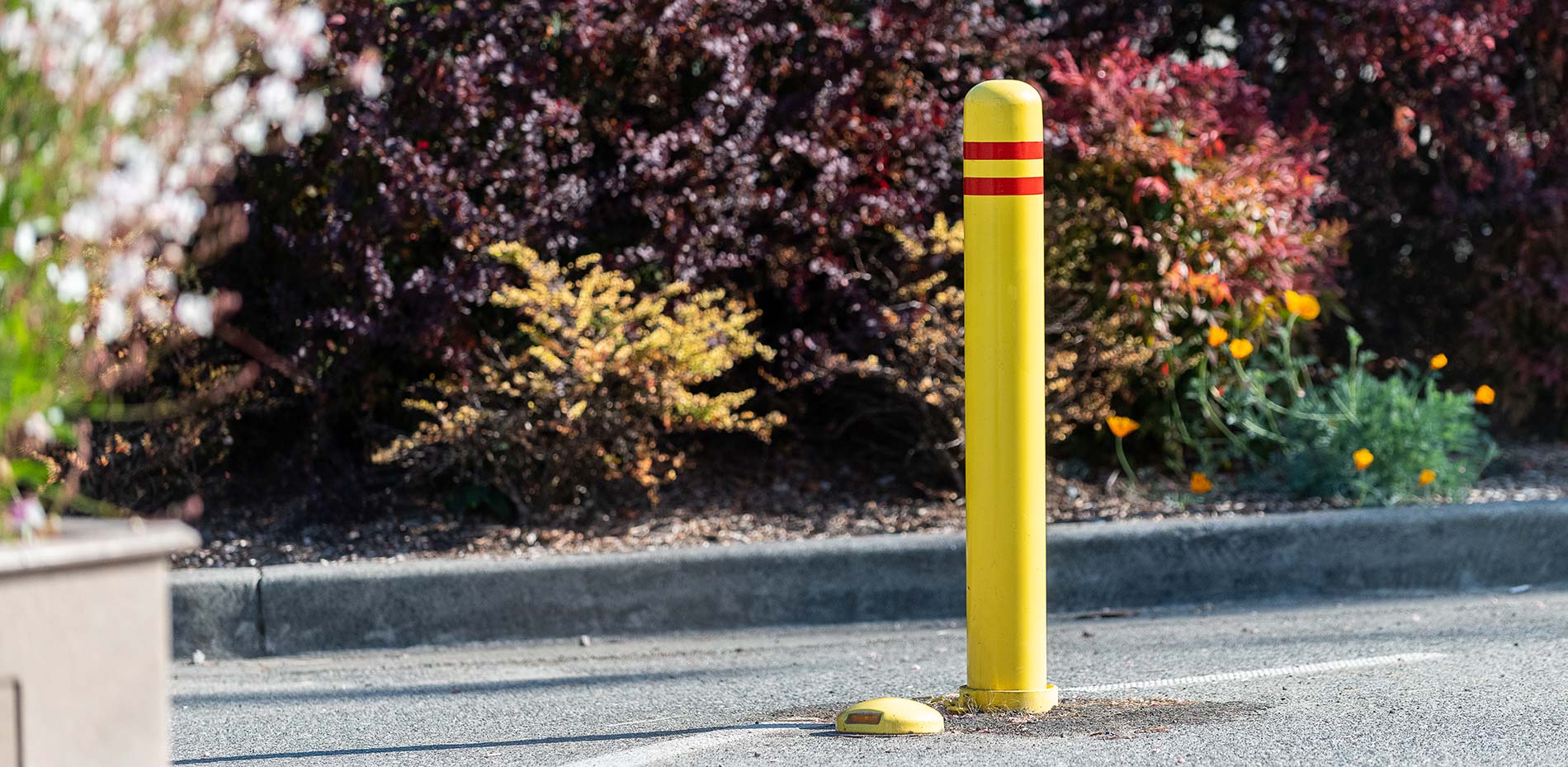 Frances Andrew Bollards