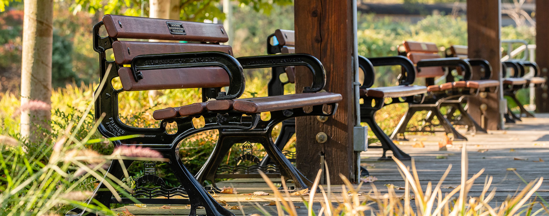 Frances Andrew Series 10 Cast Bench